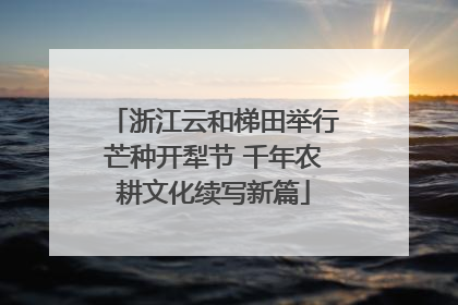 浙江云和梯田举行芒种开犁节 千年农耕文化续写新篇